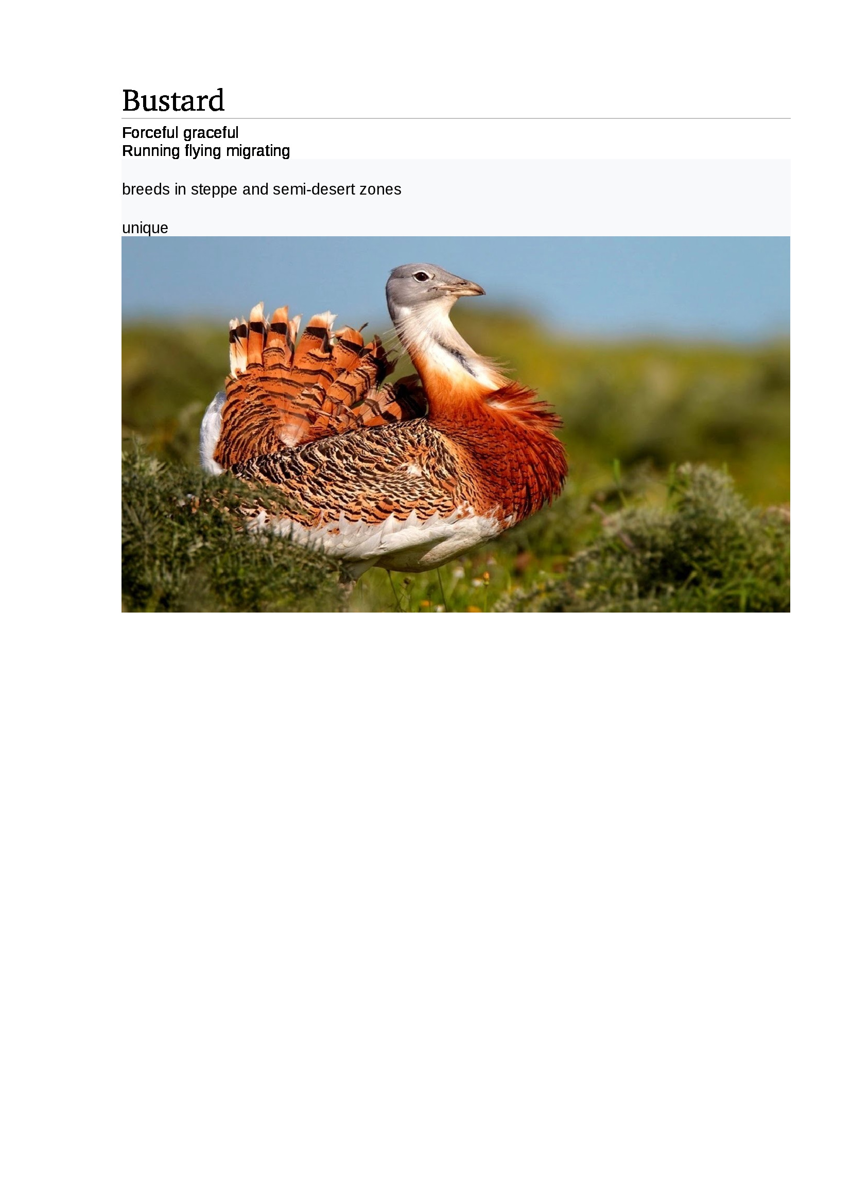 Poems about our Rivers of Life by Margarita Renedo Gómez - Ourboox.com