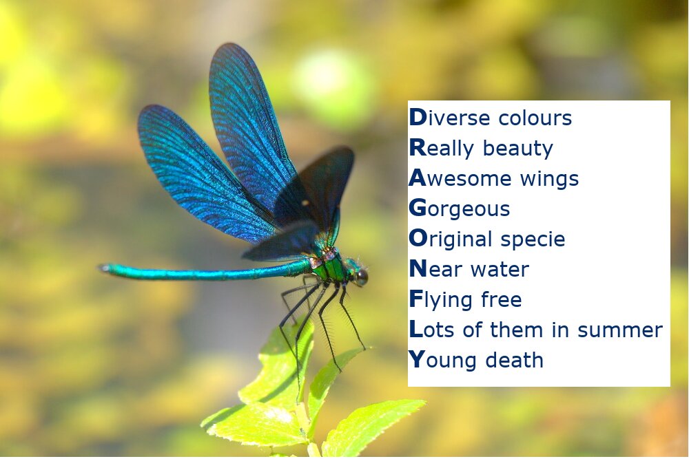 Poems about our Rivers of Life by Margarita Renedo Gómez - Ourboox.com