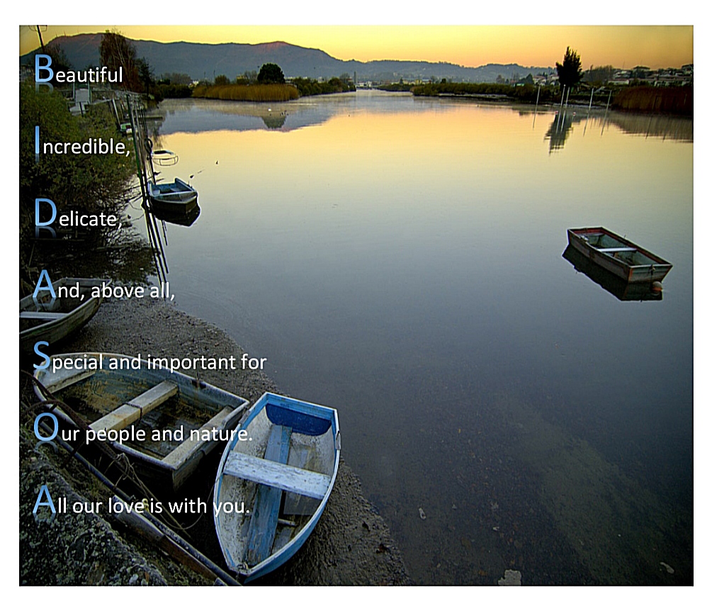 Poems about our Rivers of Life by Margarita Renedo Gómez - Ourboox.com