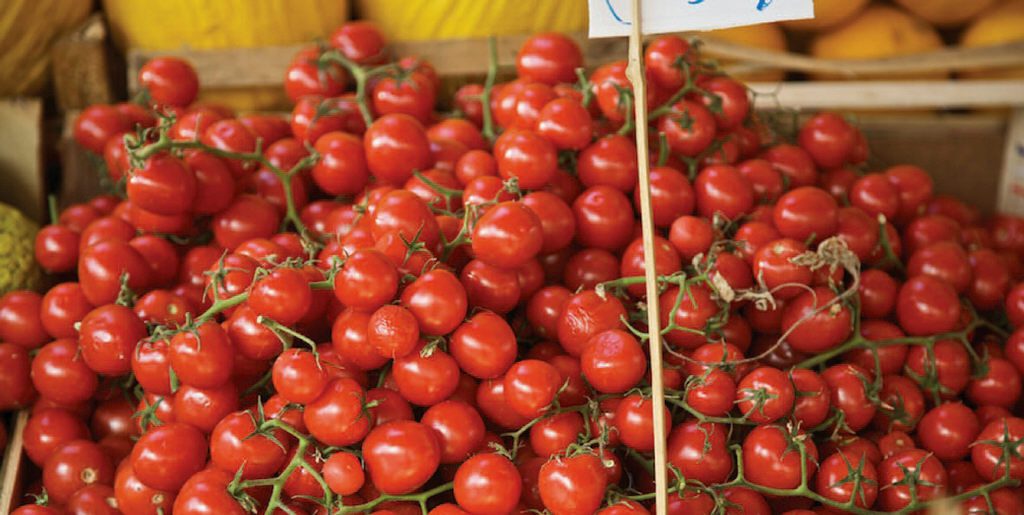 Who really invented the cherry tomatoes Ourboox