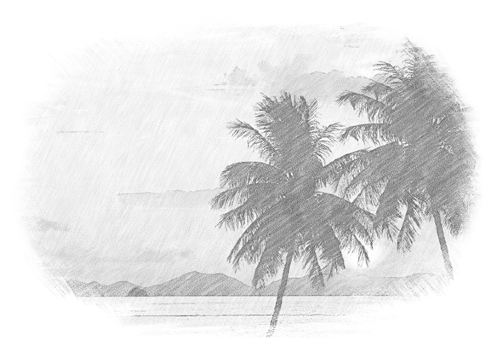Hawaii travel by Nikol Georgieva - Illustrated by by Nikol and Martin from Bulgaria and Sebastian from Romania - Ourboox.com