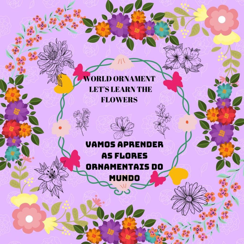 Vamos aprender as flores ornamentais do mundo–Let’s learn the ornamental flowers of the world by gönüller bir olsun e Twinning project - Illustrated by Şükran Yenigelen & Carla Cordeiro - Ourboox.com Vamos aprender as flores ornamentais do mundo–Let’s learn the ornamental flowers of the world by gönüller bir olsun e Twinning project - Illustrated by Şükran Yenigelen & Carla Cordeiro - Ourboox.com