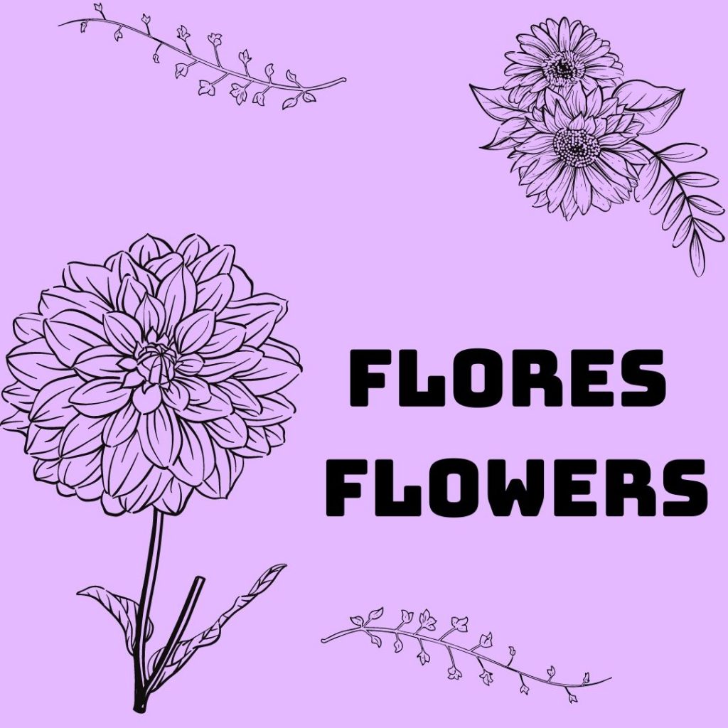 Vamos aprender as flores ornamentais do mundo–Let’s learn the ornamental flowers of the world by gönüller bir olsun e Twinning project - Illustrated by Şükran Yenigelen & Carla Cordeiro - Ourboox.com
