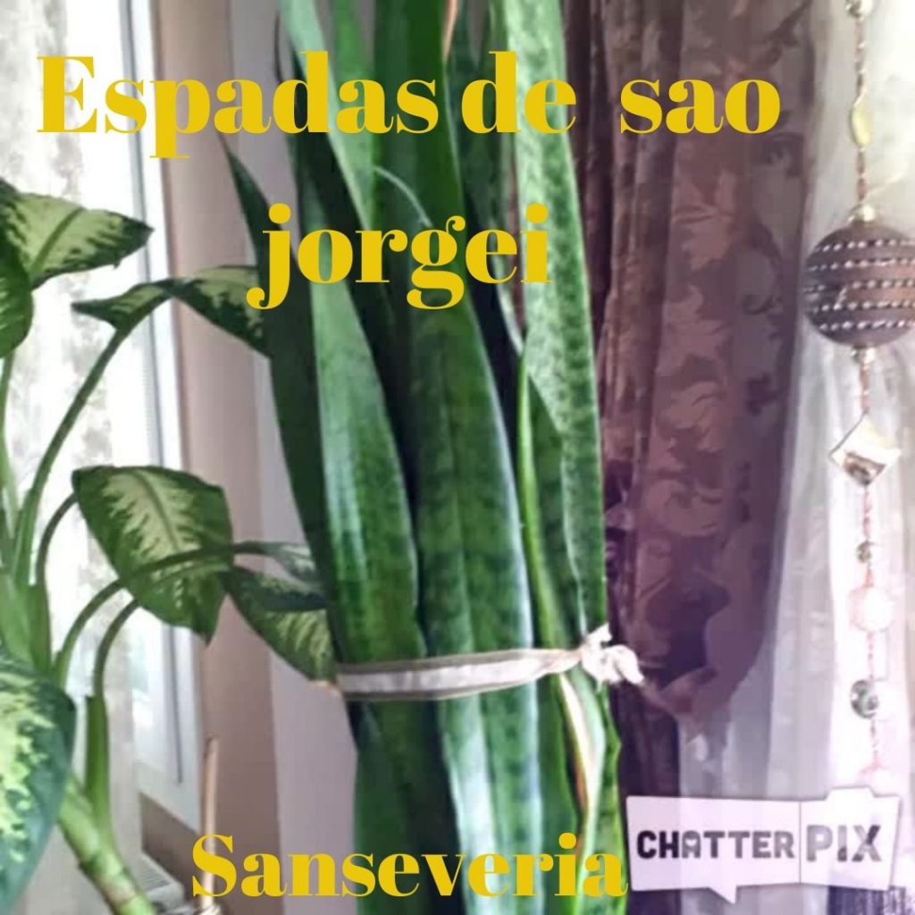 Vamos aprender as flores ornamentais do mundo–Let’s learn the ornamental flowers of the world by gönüller bir olsun e Twinning project - Illustrated by Şükran Yenigelen & Carla Cordeiro - Ourboox.com