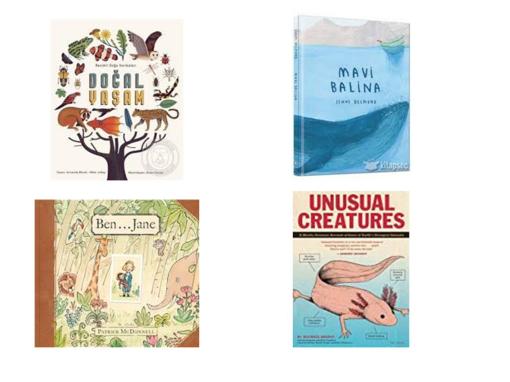 TOHUMUN SERÜVENİ PROJESİ KİTAP ÖNERİLERİ BOOK SUGGESTIONS FOR THE ‘ADVENTURE OF THE SEED’ PROJECT by Sinem Değirmenci - Illustrated by Sinem DEĞİRMENCİ - Ourboox.com