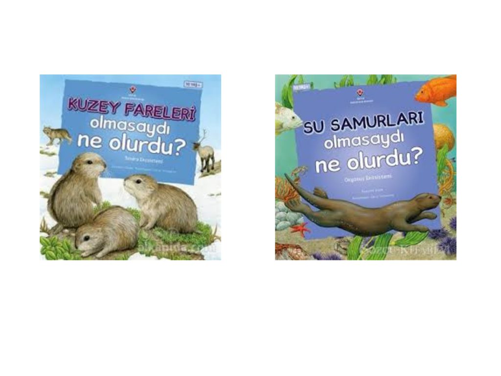 TOHUMUN SERÜVENİ PROJESİ KİTAP ÖNERİLERİ BOOK SUGGESTIONS FOR THE ‘ADVENTURE OF THE SEED’ PROJECT by Sinem Değirmenci - Illustrated by Sinem DEĞİRMENCİ - Ourboox.com