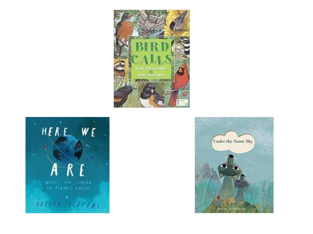 TOHUMUN SERÜVENİ PROJESİ KİTAP ÖNERİLERİ BOOK SUGGESTIONS FOR THE ‘ADVENTURE OF THE SEED’ PROJECT by Sinem Değirmenci - Illustrated by Sinem DEĞİRMENCİ - Ourboox.com
