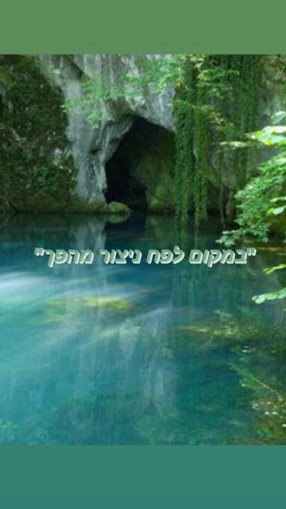 “במקום לפח ניצור מהפך” by liya raanan - Illustrated by ליה רענן , אמה מיכאלי ונתנאל מזרחי - Ourboox.com “במקום לפח ניצור מהפך” by liya raanan - Illustrated by ליה רענן , אמה מיכאלי ונתנאל מזרחי - Ourboox.com