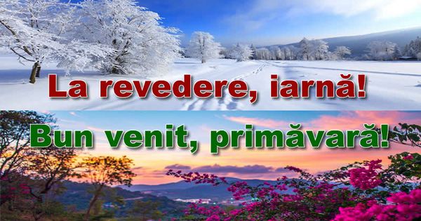 Anotimpurile prin ochi de copil by Gheorghe Daria Maria - Illustrated by Gheorghe Daria - Ourboox.com