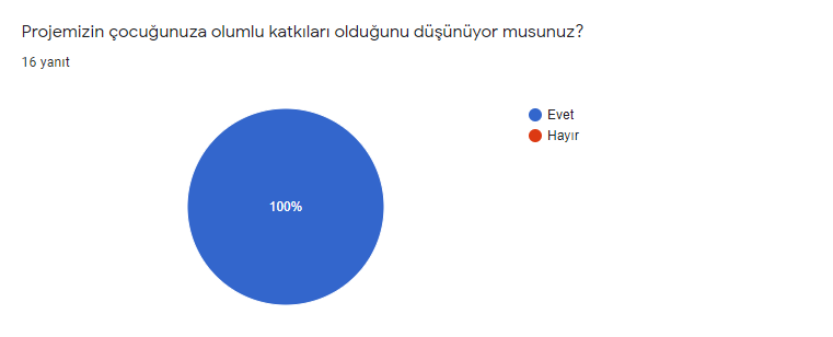 Oynuyorum Öğreniyorum Veli Son Anket Analiz Sonucu ve Anket Değerlendirme by Eylül Şehri ULU - Illustrated by Eylül Şehri ULU - Ourboox.com