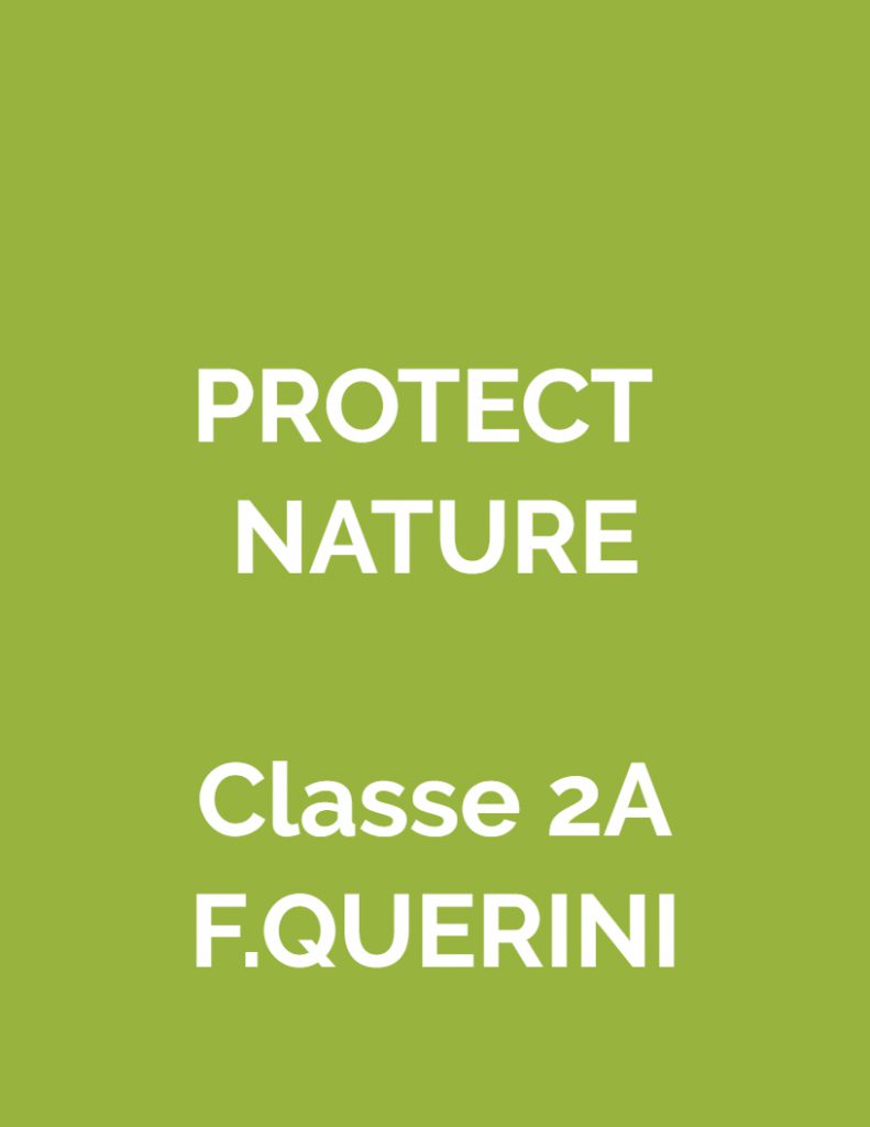 Protect nature by Caterina Fantini - Illustrated by Classe 2^A - Primaria F.Querini - Ourboox.com Protect nature by Caterina Fantini - Illustrated by Classe 2^A - Primaria F.Querini - Ourboox.com