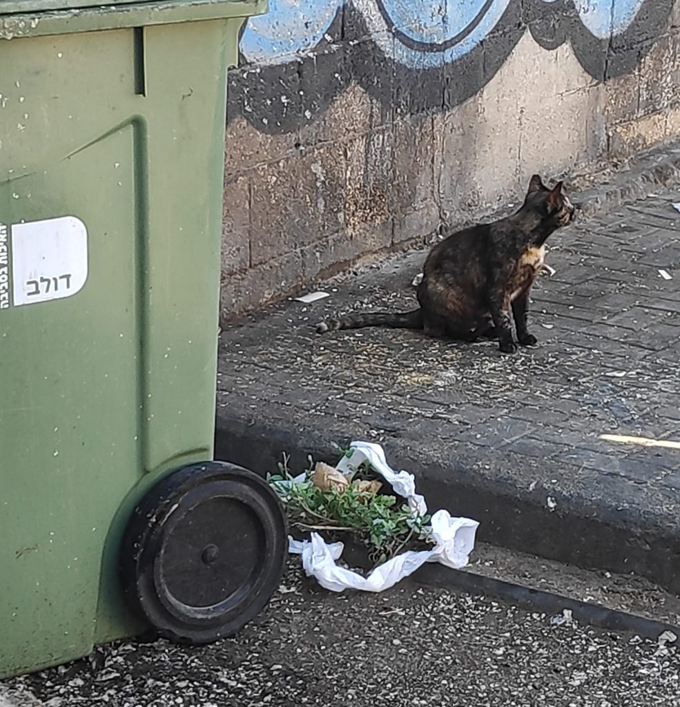 לואיס תרזה והדה גאבלר סיפור קצר סמדר שרת צילומים רפי פרץ אמנות ישראלית by raphael perez רפי פרץ אמנות ישראלית עכשווית מודרנית - Illustrated by טקסט סמדר שרת צילומים רפי פרץ - Ourboox.com
