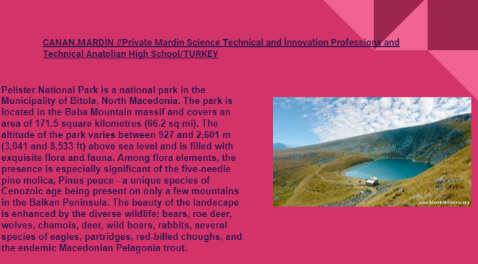 COLLABORATIVE TRAVEL GUIDE My eTwinning Journey by Aslı Yalçın - Ourboox.com