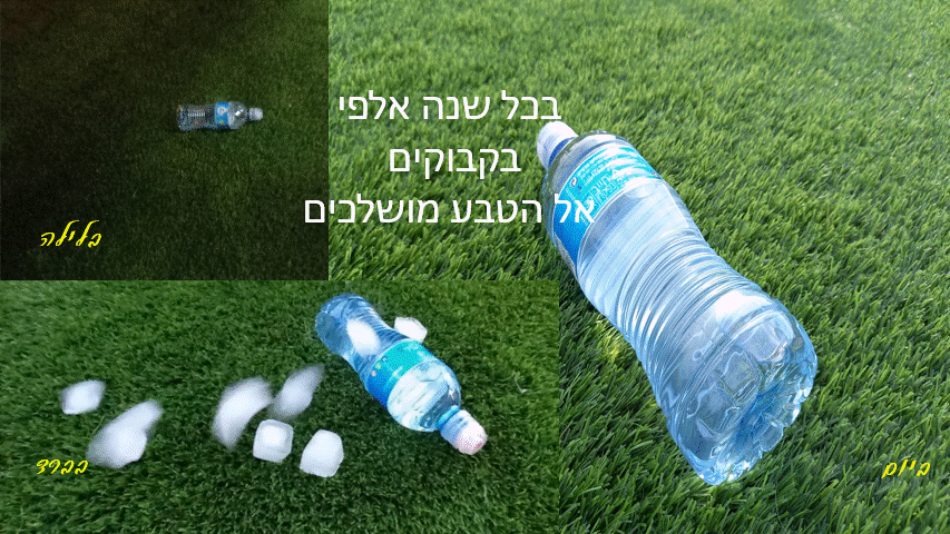 עולם נקי- מבט באמצעות המצלמה. הצילומים של תלמידי “מדע ודעת” כרמיאל by maya meyrav - Illustrated by תלמידי "מדע ודעת" כרמיאל - Ourboox.com