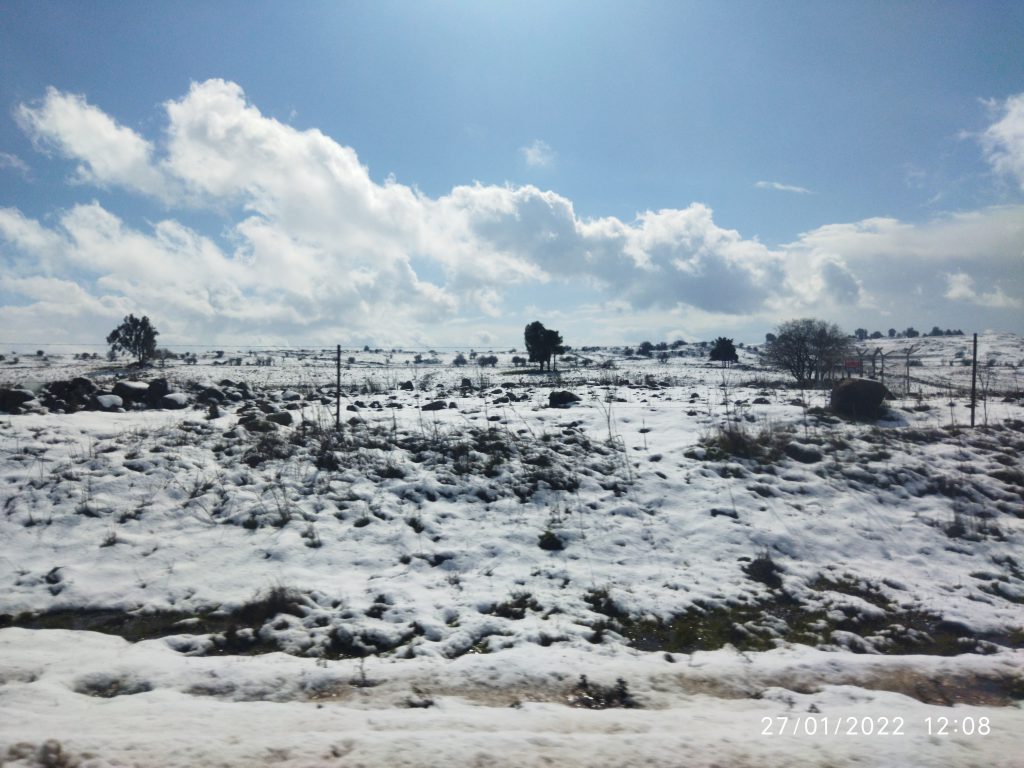 עולם נקי- מבט באמצעות המצלמה. הצילומים של תלמידי “מדע ודעת” כרמיאל by maya meyrav - Illustrated by תלמידי "מדע ודעת" כרמיאל - Ourboox.com
