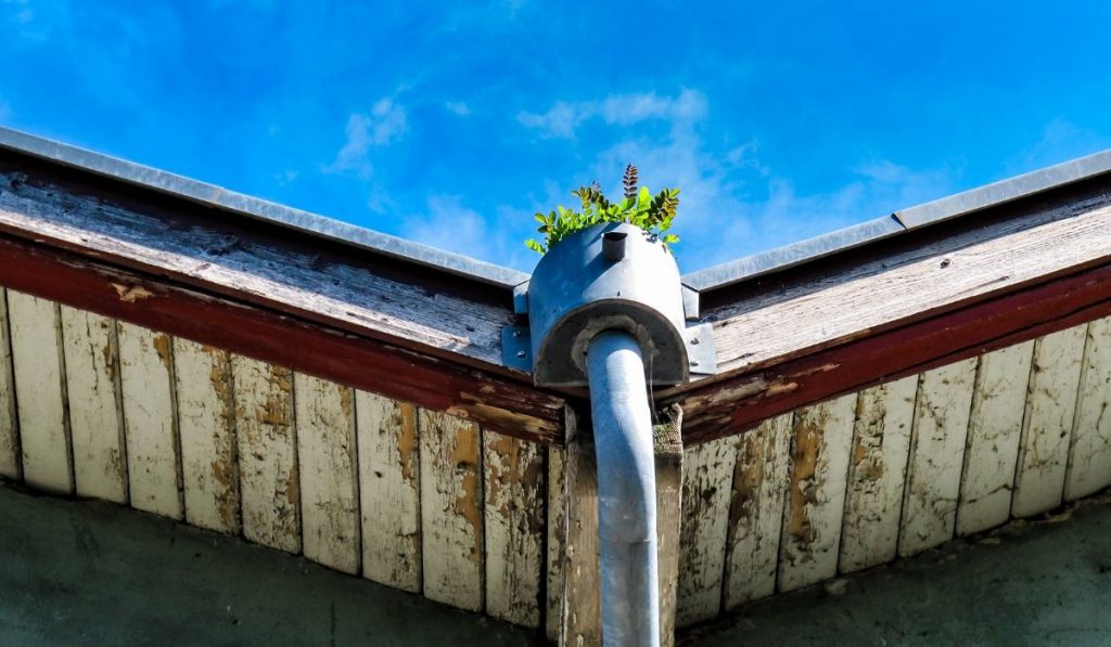 Gutter replacement contractor Gutter replacement contractor