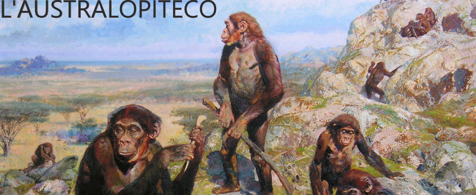 AUSTRALOPITECO by Terza B. - Ourboox.com AUSTRALOPITECO by Terza B. - Ourboox.com