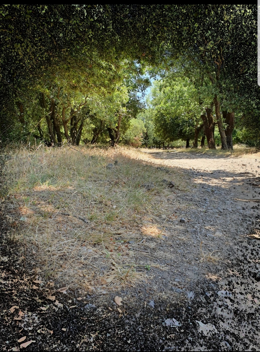 עולם נקי- מבט באמצעות המצלמה. הצילומים של תלמידי “מדע ודעת” כרמיאל by maya meyrav - Illustrated by תלמידי "מדע ודעת" כרמיאל - Ourboox.com
