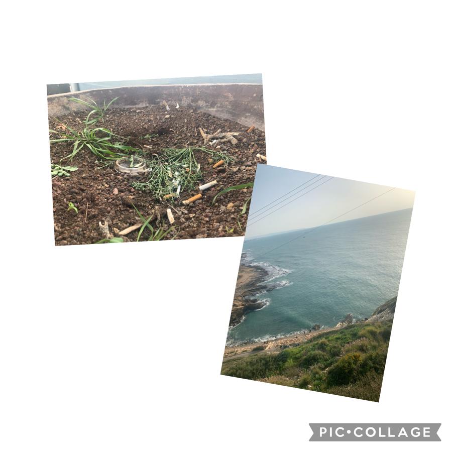 עולם נקי- מבט באמצעות המצלמה. הצילומים של תלמידי “מדע ודעת” כרמיאל by maya meyrav - Illustrated by תלמידי "מדע ודעת" כרמיאל - Ourboox.com
