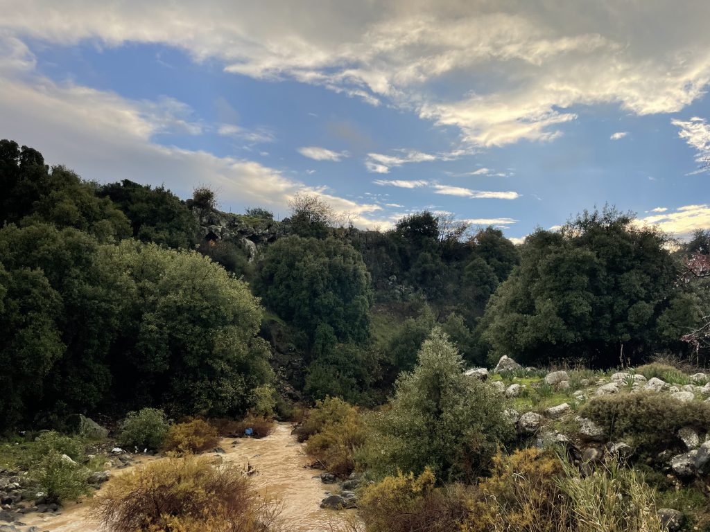 עולם נקי- מבט באמצעות המצלמה. הצילומים של תלמידי “מדע ודעת” כרמיאל by maya meyrav - Illustrated by תלמידי "מדע ודעת" כרמיאל - Ourboox.com