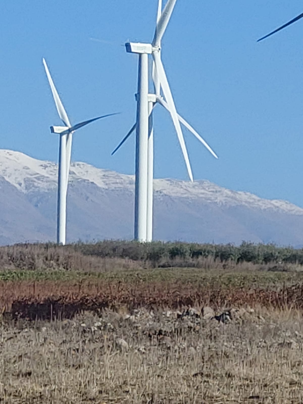 עולם נקי- מבט באמצעות המצלמה. הצילומים של תלמידי “מדע ודעת” כרמיאל by maya meyrav - Illustrated by תלמידי "מדע ודעת" כרמיאל - Ourboox.com