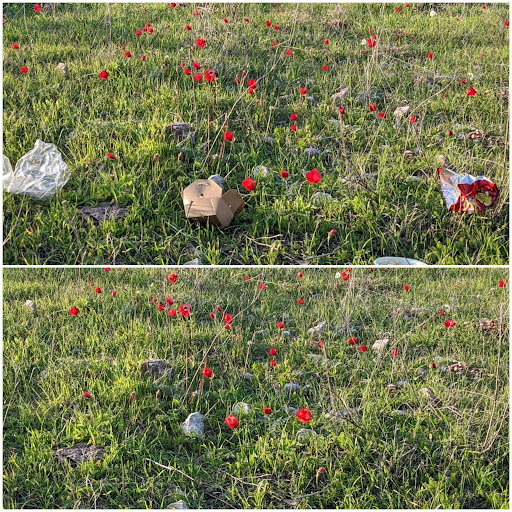 עולם נקי- מבט באמצעות המצלמה. הצילומים של תלמידי “מדע ודעת” כרמיאל by maya meyrav - Illustrated by תלמידי "מדע ודעת" כרמיאל - Ourboox.com