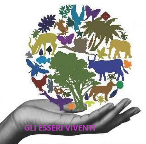 GLI ESSERI VIVENTI by Terza B. - Illustrated by ILENIA 3B - Ourboox.com GLI ESSERI VIVENTI by Terza B. - Illustrated by ILENIA 3B - Ourboox.com