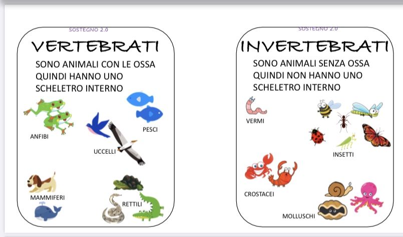 GLI ESSERI VIVENTI by Terza B. - Illustrated by ILENIA 3B - Ourboox.com