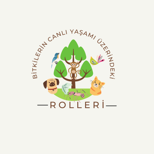 Veli Son Değerlendirme Anketi Sonuçları by Elif Rumeysa VİRLAN - Illustrated by Bitkilerin Canlı Yaşamı Üzerindeki Rolleri - Ourboox.com Veli Son Değerlendirme Anketi Sonuçları by Elif Rumeysa VİRLAN - Illustrated by Bitkilerin Canlı Yaşamı Üzerindeki Rolleri - Ourboox.com