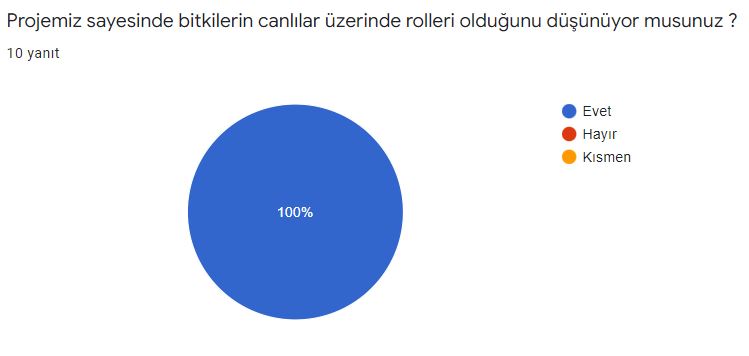 Öğretmen Son Değerlendirme Anketi Sonuçları by Elif Rumeysa VİRLAN - Illustrated by Bitkilerin Canlı Yaşamı Üzerindeki Rolleri - Ourboox.com