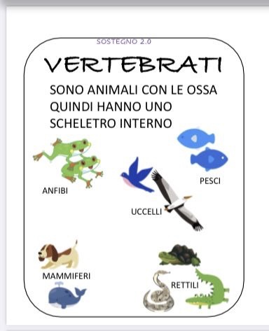 GLI ANIMALI by Terza B. - Ourboox.com
