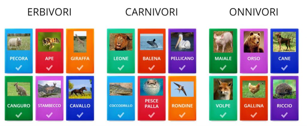 gli animali by Terza B. - Ourboox.com