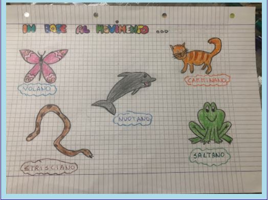 gli animali by Terza B. - Ourboox.com