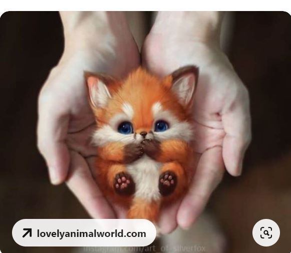 gli animali by Terza B. - Ourboox.com