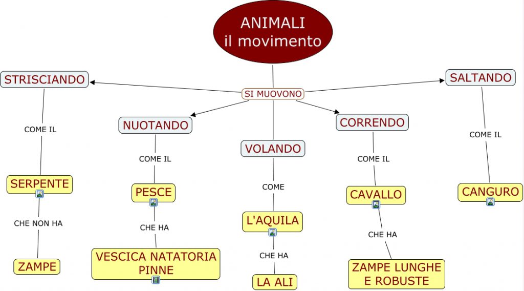 GLI ANIMALI by Terza B. - Illustrated by Mensi Andrea - Ourboox.com