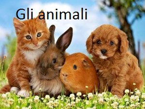gli animali by Terza B. - Ourboox.com gli animali by Terza B. - Ourboox.com