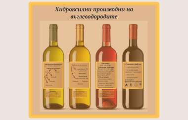 Физиологично действие на етанола by Kristina - Ourboox.com