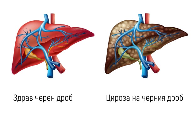 Физиологично действие на етанола by Kristina - Ourboox.com