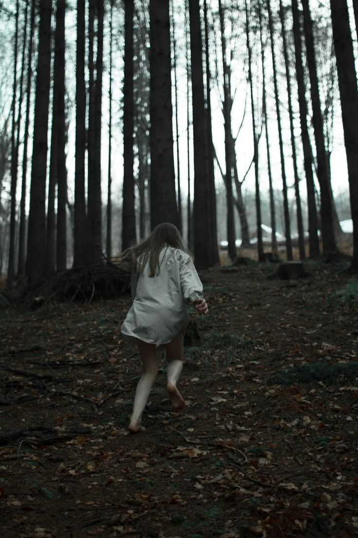 GONE IN THE DARK by noya sagi - Illustrated by Noya Sagi and Yarden Barda - Ourboox.com
