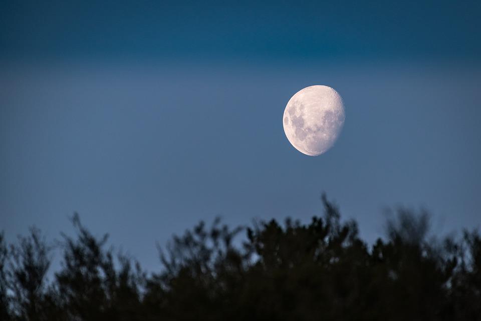 moon moon