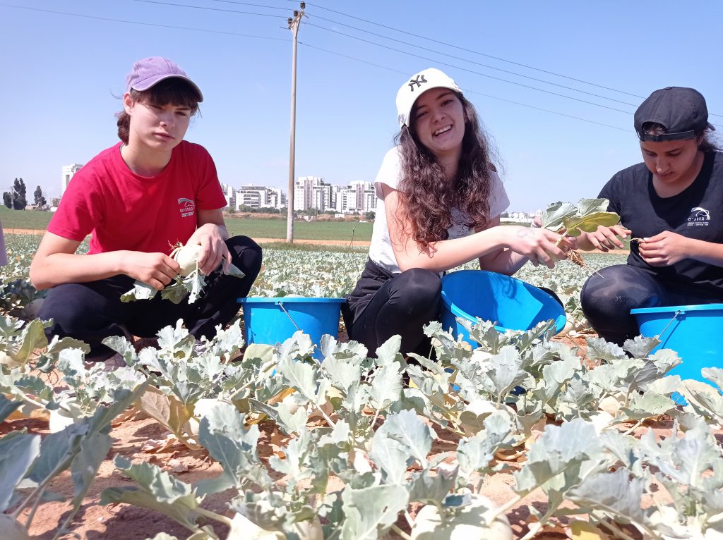 ספר הטיולים של כיתה ח1 by Enav vainshten - Ourboox.com