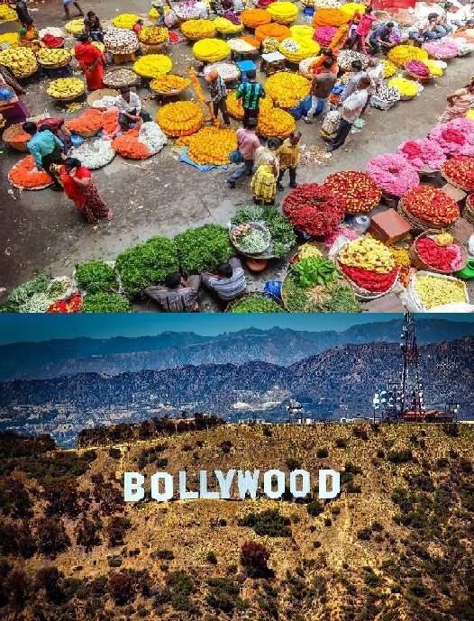L’india by Riccardo D