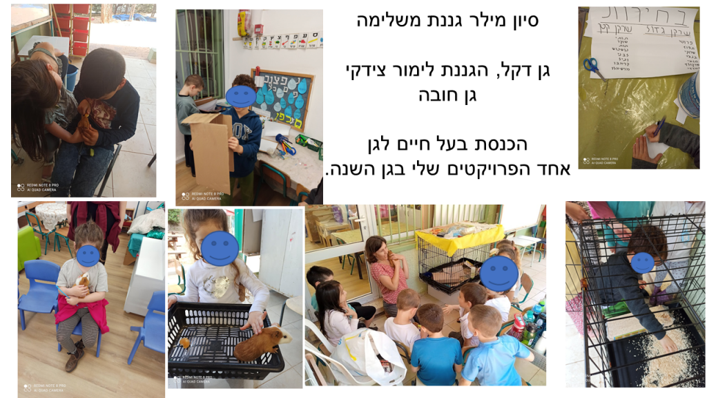 קרן אשואל – מצגת סיכום שנה by juliek - Ourboox.com