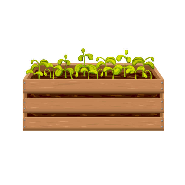 Ağaç Dikme Kampanyası by simuzer yusufoğlu - Ourboox.com