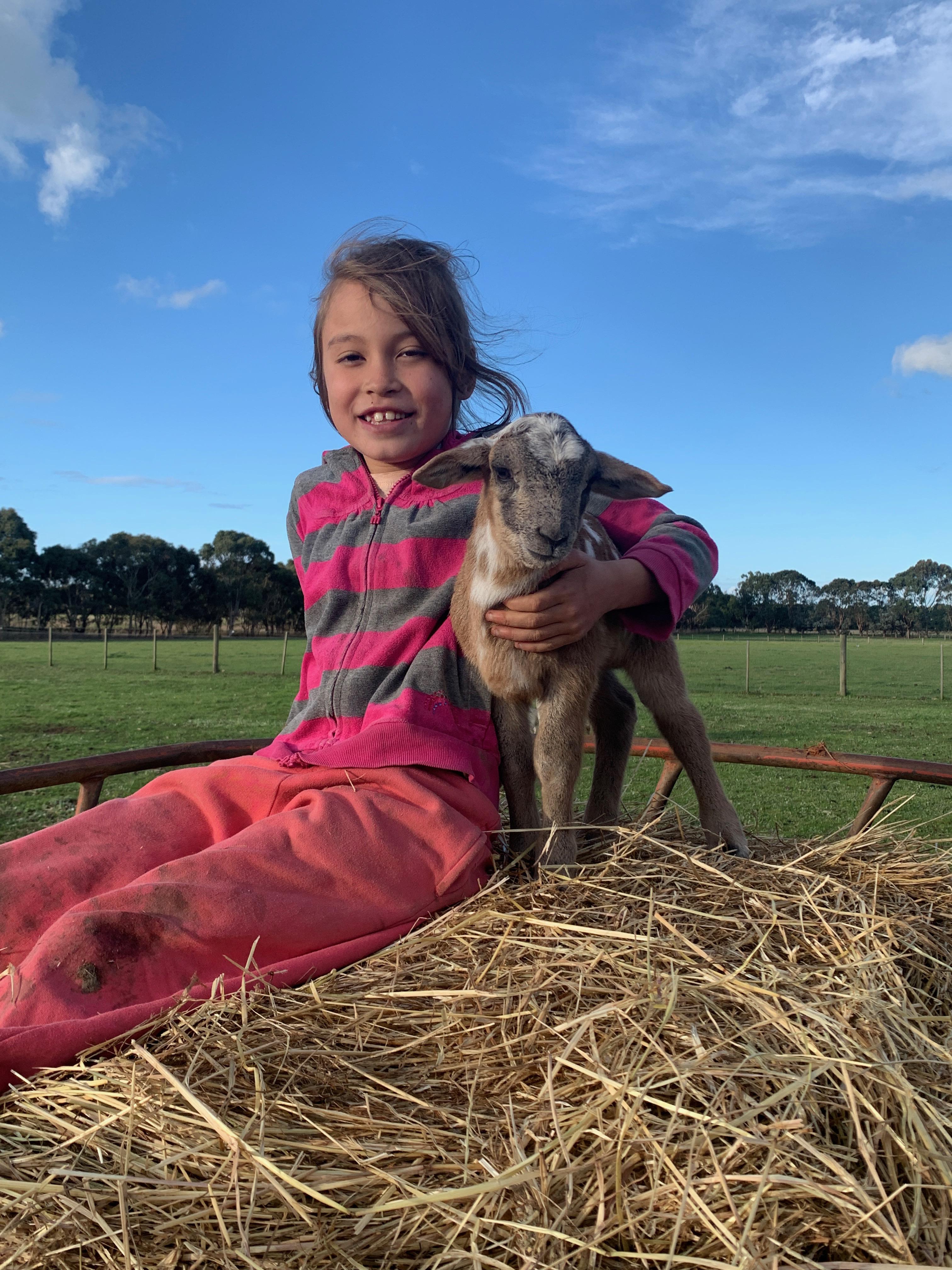 Farm Animals by Fin Beames - Illustrated by Fin and family - Ourboox.com