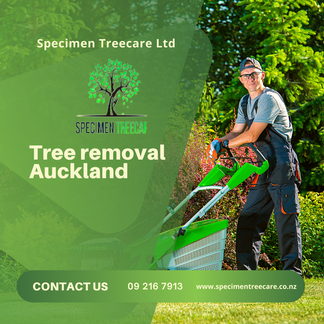 Tree removal Auckland Ourboox