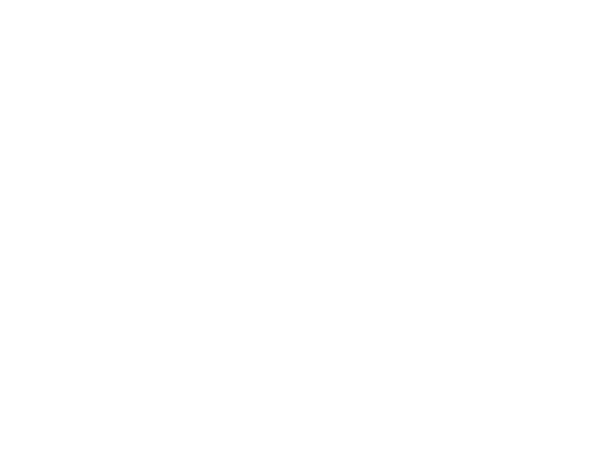 The Shakira Experience