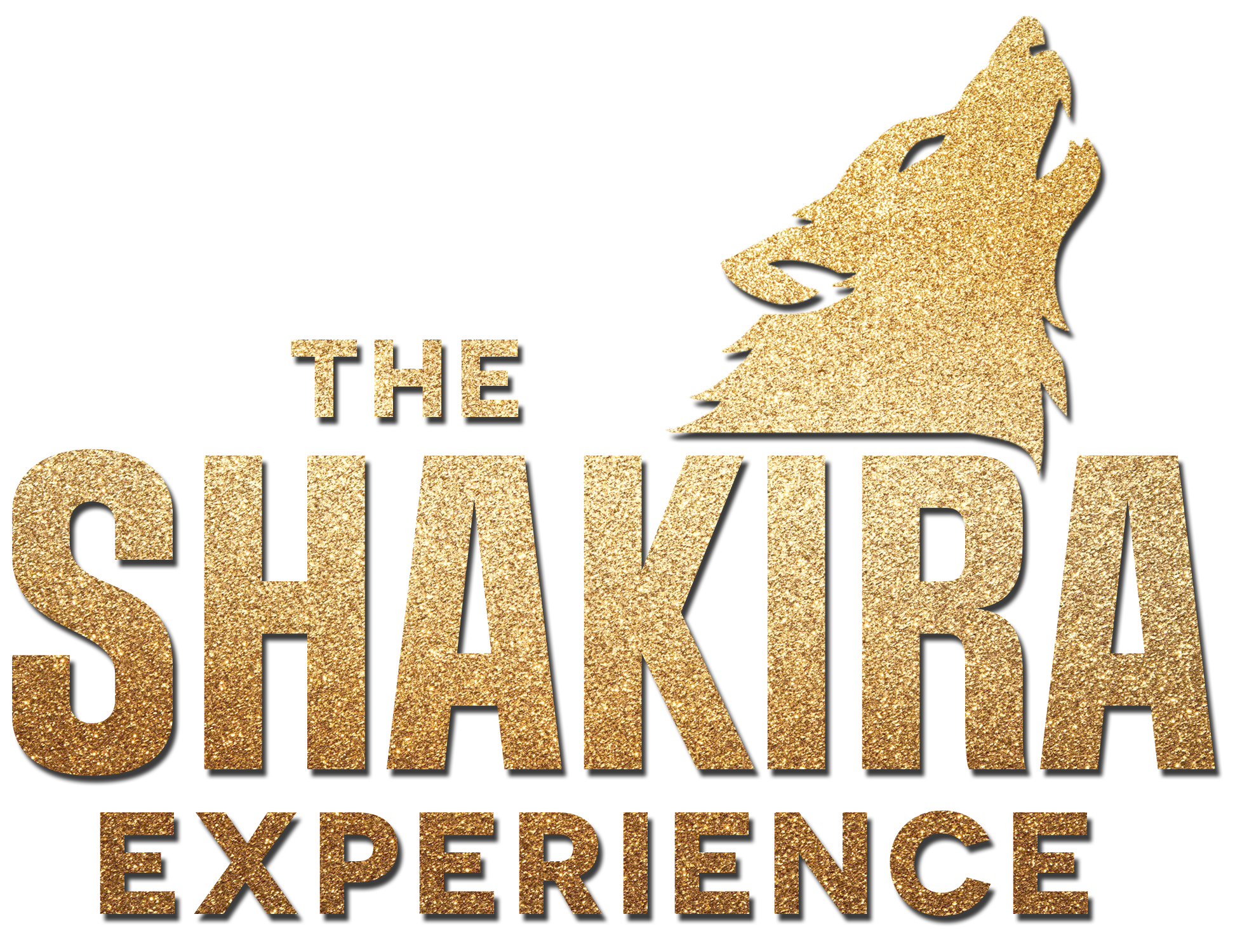 The Shakira Experience