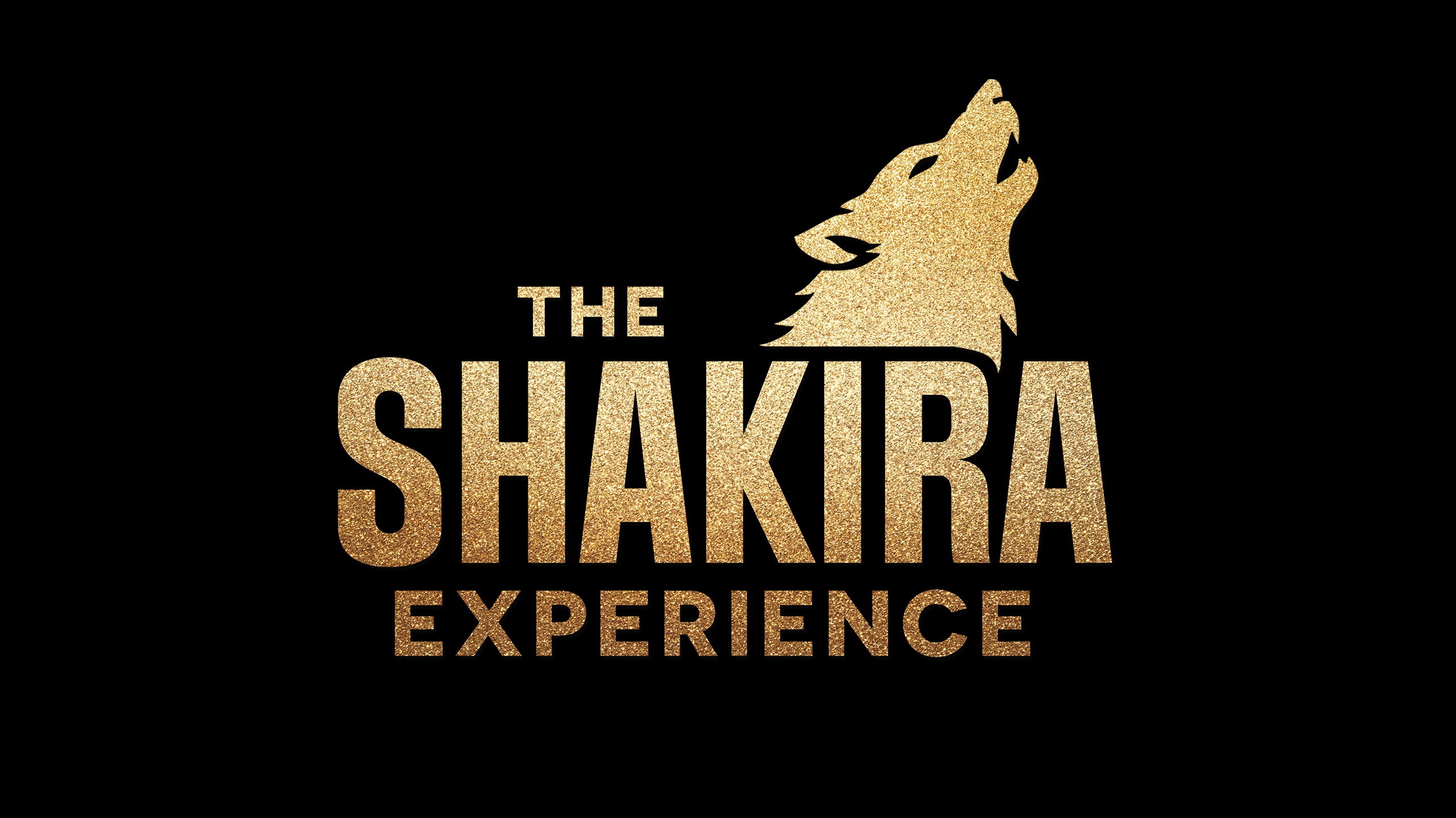 The Shakira Experience