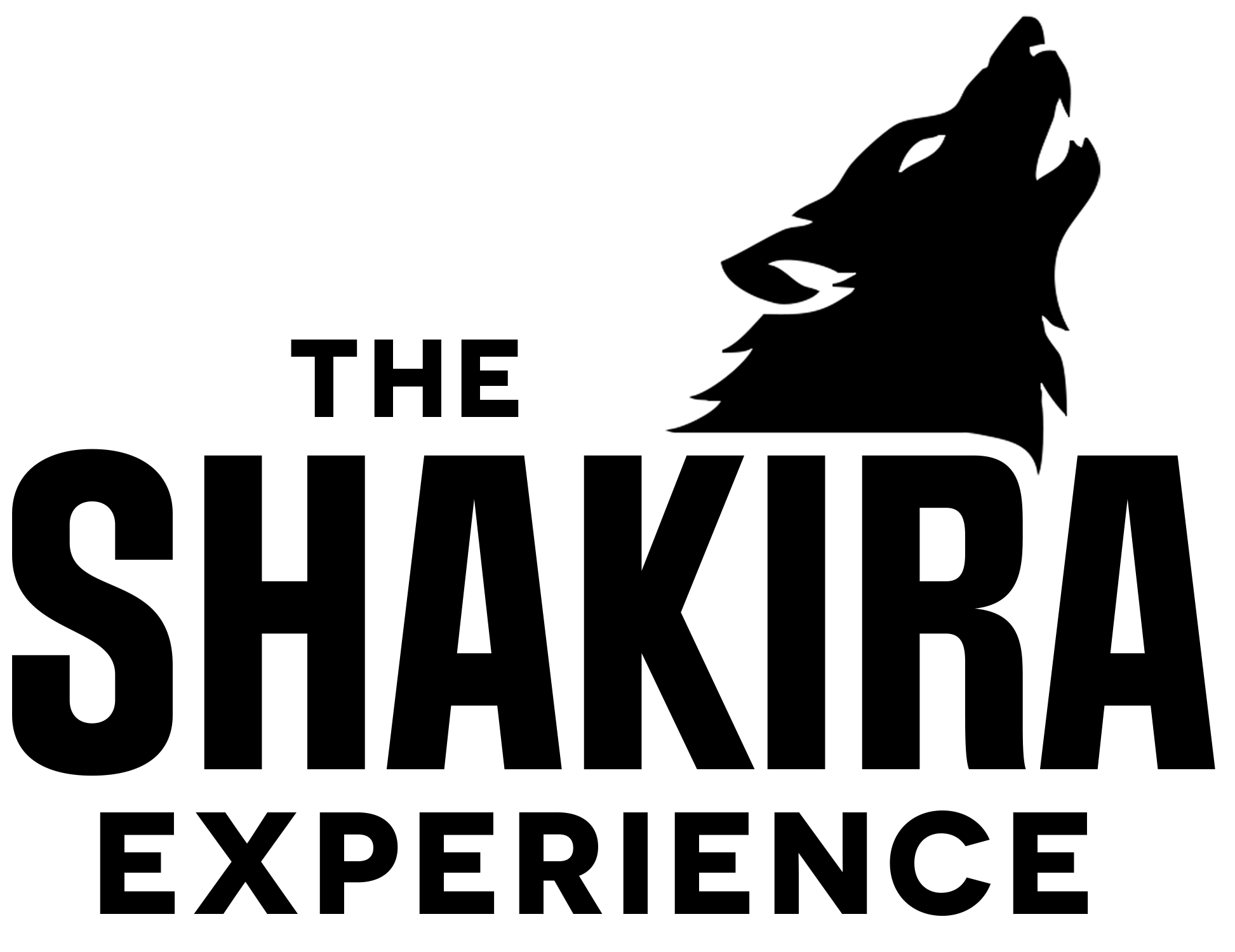 The Shakira Experience